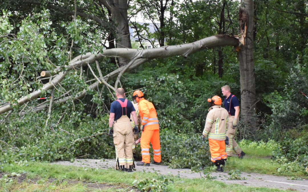 Grote tak breekt van boom en valt op voetpad Strandweg Zevenhuizen