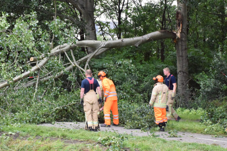 Grote tak breekt van boom en valt op voetpad Strandweg Zevenhuizen