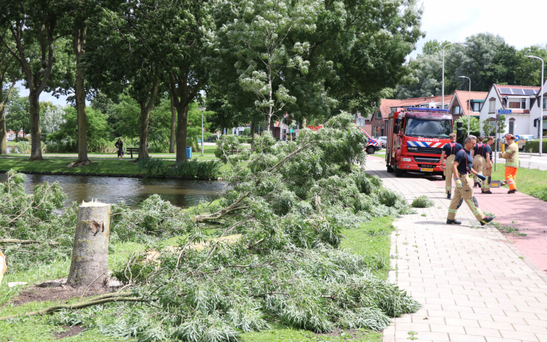 Boom waait om door harde wind Kralingseweg Capelle aan den IJssel