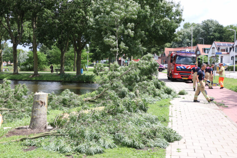 Boom waait om door harde wind Kralingseweg Capelle aan den IJssel