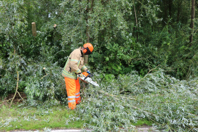 Omgevallen boom verspert ‘s-Gravenweg Capelle aan den IJssel