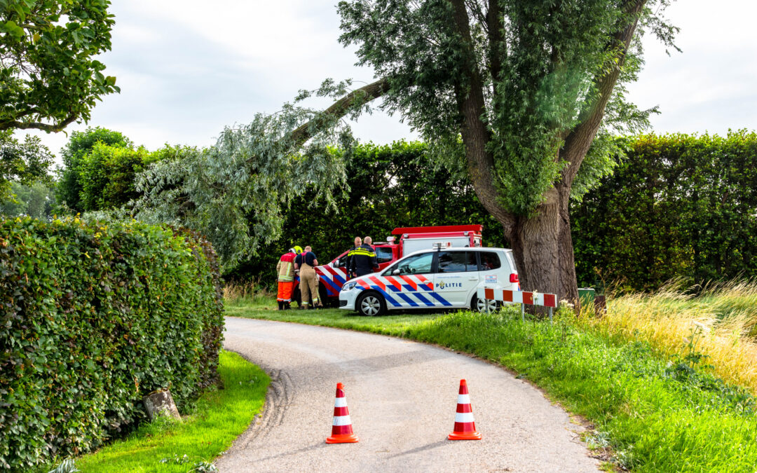 Afgebroken tak verplettert verkeersbord Lageweg Rhoon
