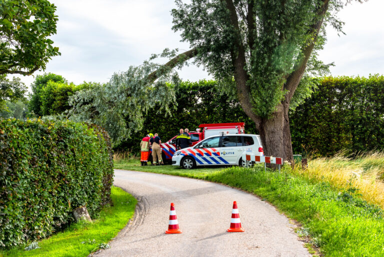 Afgebroken tak verplettert verkeersbord Lageweg Rhoon