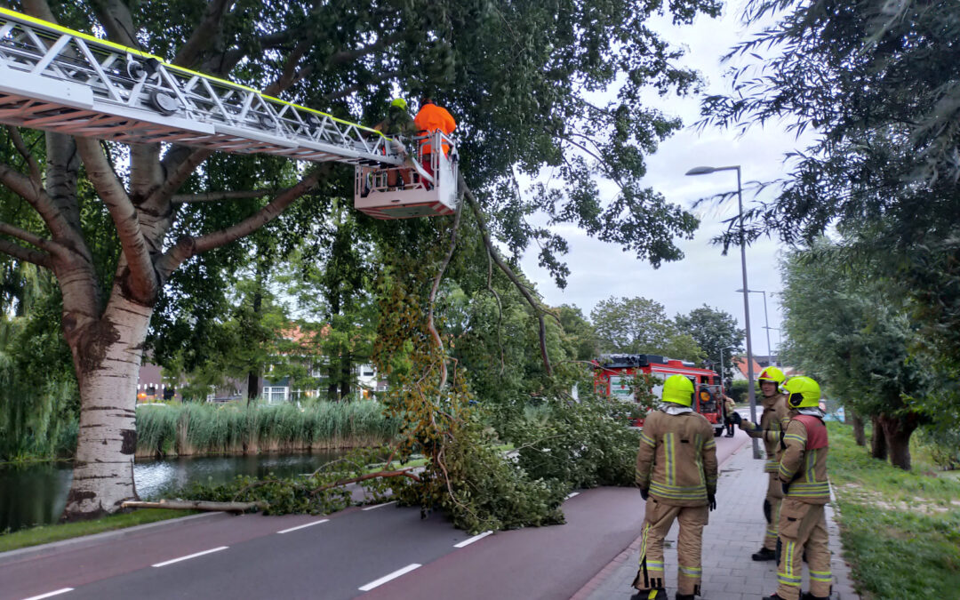 Brandweer verwijderd tak op doorgaande weg Kleiweg Rotterdam