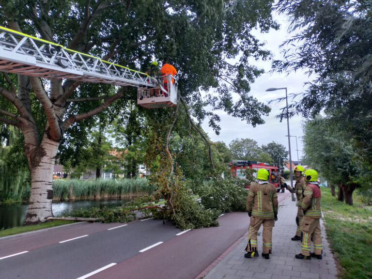 Brandweer verwijderd tak op doorgaande weg Kleiweg Rotterdam