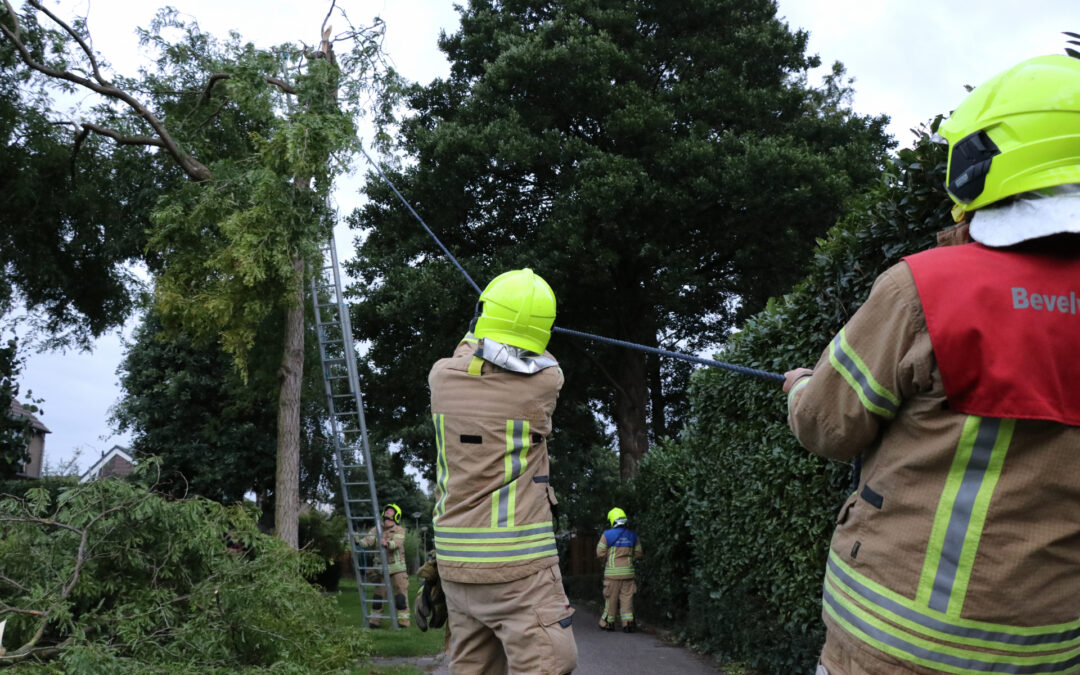 Meerdere gevaarlijk hangende takken verwijderd Concours Krimpen aan den IJssel