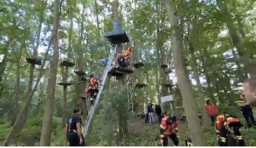 Man zwaargewond na val van klimplateau Kralingse Bos Rotterdam
