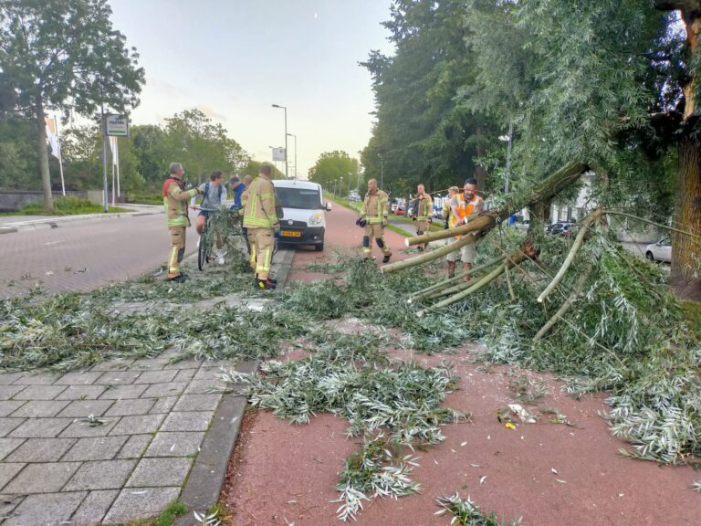 Stormschades regio Rotterdam-Rijnmond