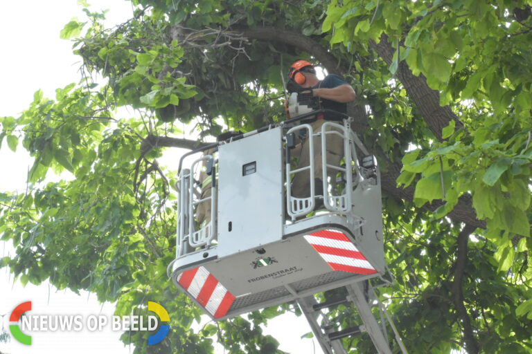 Brandweer verwijderd gebroken tak uit boom Gerbrasingel Berkel en Rodenrijs