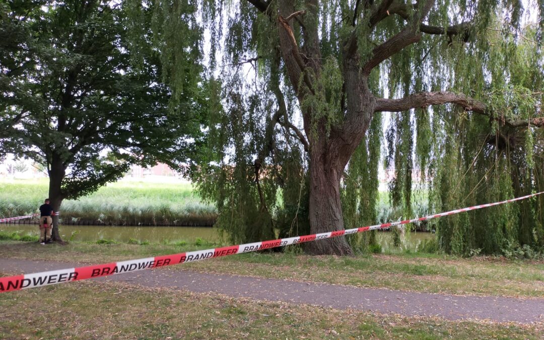 Tak dreigt te vallen Bachplein Berkel en Rodenrijs