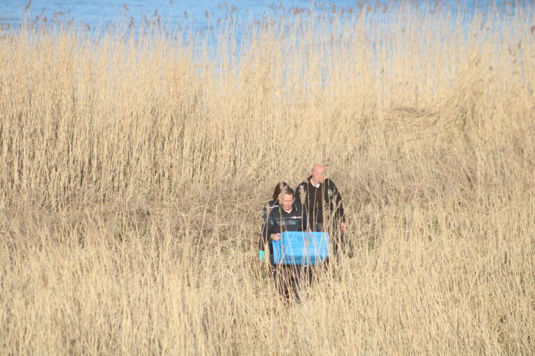 Menselijke resten aangetroffen langs water Maasboulevard Spijkenisse