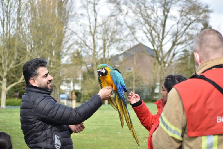Brandweer haalt papegaai uit boom Peppelweg Rotterdam