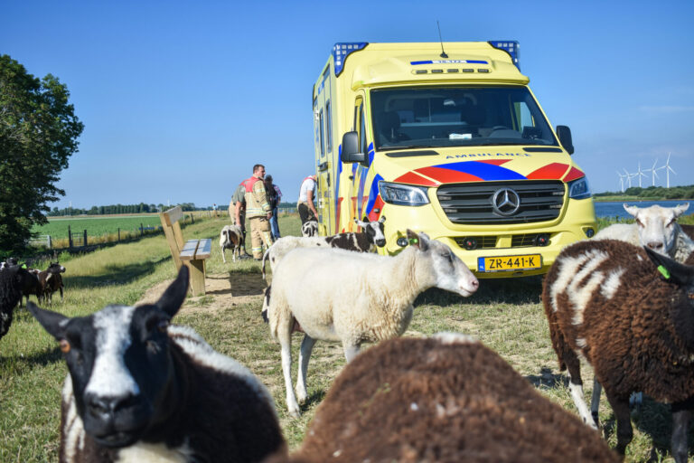 Vrouw bezeert been in natuurgebied Zuidoordsedijk Zuidland