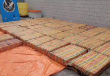 Grote cocaïnevondst in Rotterdamse Haven