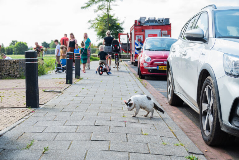 Brandweer redt kat onder vlonder vandaan Saturnuslaan Zuidland