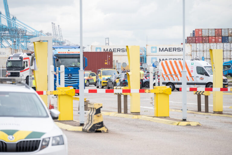Negen uithalers  aangetroffen in container Missouriweg Maasvlakte Rotterdam