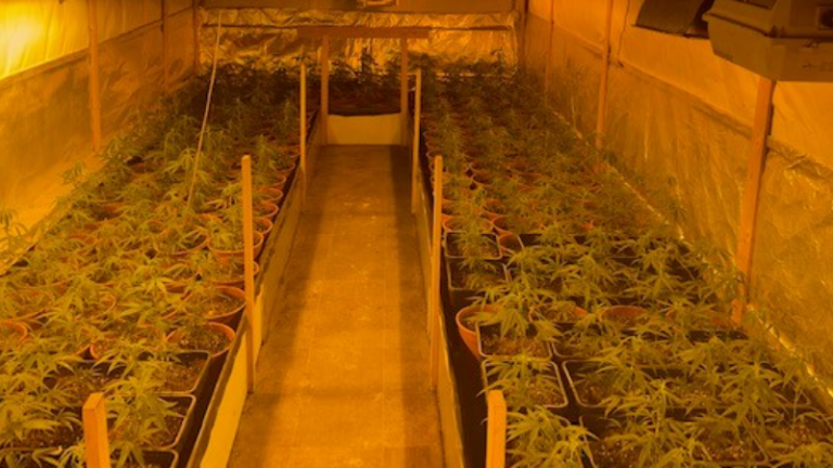 Aanhoudingen en in beslagnames bij drugsactie Oud-Beijerland