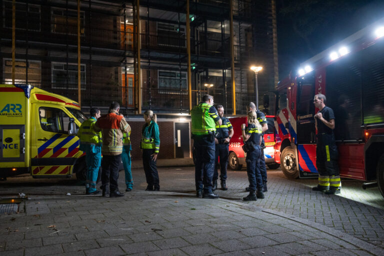 Hulpdiensten uitgerukt voor valse melding van babygehuil uit container Langeplaat Rozenburg