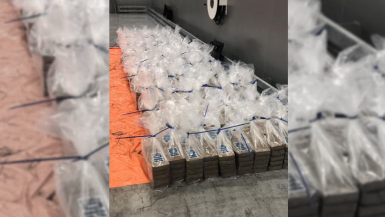 Wederom grote cocaïne vangst in haven Rotterdam
