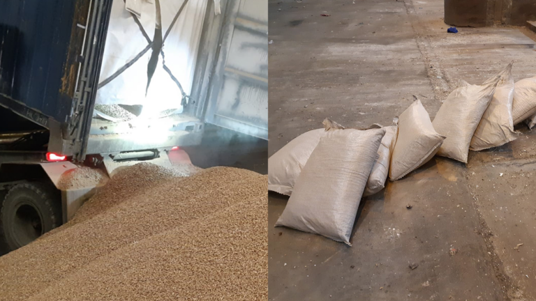 Opnieuw honderden kilo’s cocaïne onderschept in Rotterdamse haven