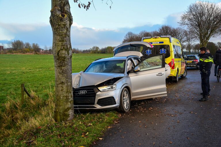 Automobilist botst op boom Achterweg Rhoon