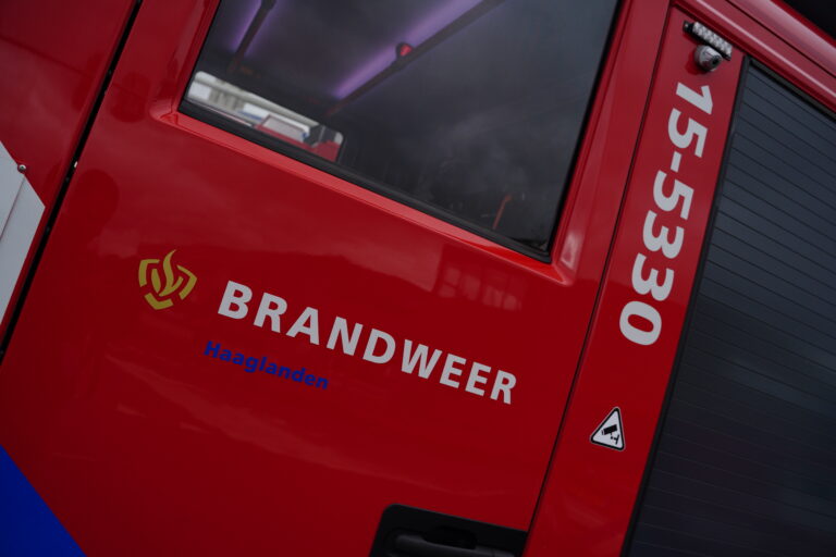 Meerdere huisdieren gered bij brand in woning Van Foreeststraat Den Haag