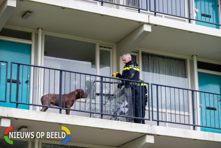 Hond bijt meerdere mensen in flat Grote Beerstraat Spijkenisse (video)