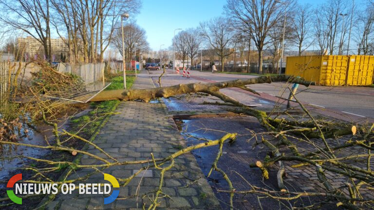 Storm Dudley zorgt voor flinke overlast in Rotterdam en omgeving