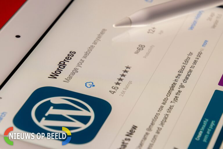 Houd je website veilig met WordPress onderhoud