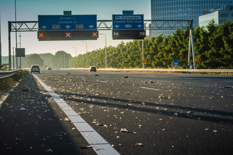 Familie gans platgereden op A20 bij Capelle aan den IJssel, snelweg dicht