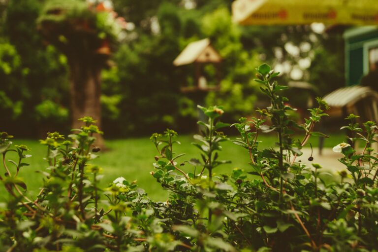 Vijf duurzame aankopen voor in je tuin en schuur