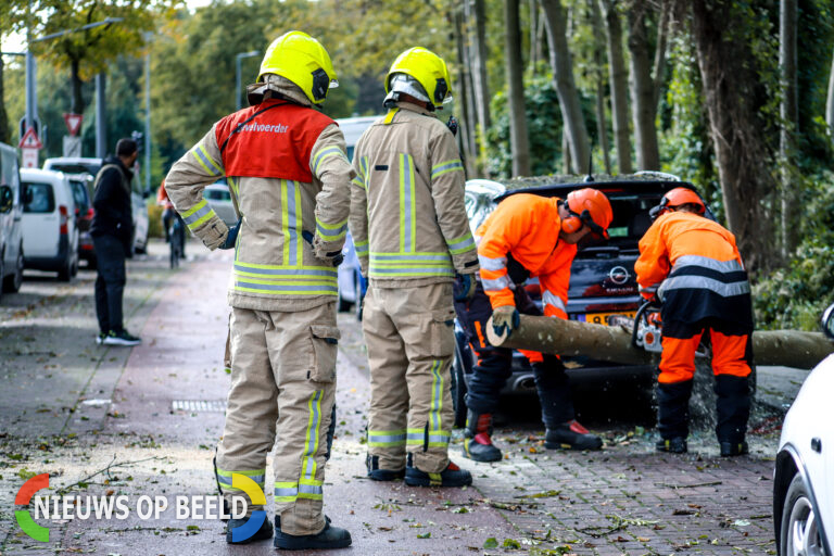 Twee auto’s beschadigd nadat boom omvalt Dorpsweg Rotterdam