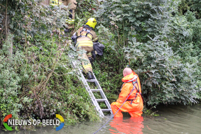 Brandweer redt hond uit ijskoud water Nieuwe Zinkweg Oud-Beijerland