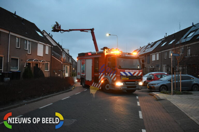 Brandweer redt kat van het dak brandweerman lichtgewond Buntgras Spijkenisse