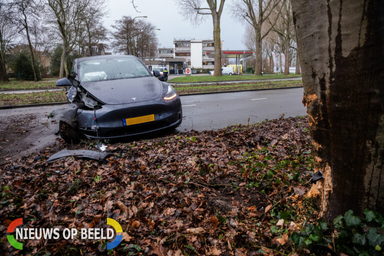 Tesla aan gort na botsing met boom