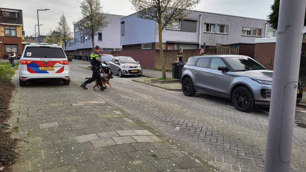 Achtervolging Eindigt Geboeid In Achtertuin Rotterdam-Lombardijen ...