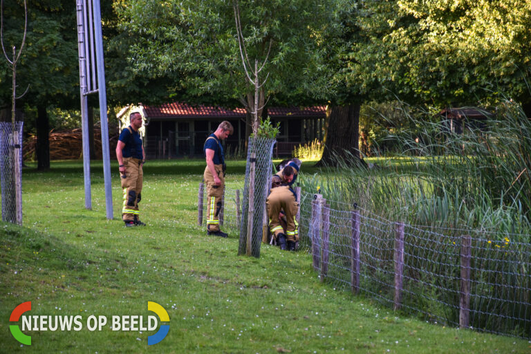 Brandweer bevrijdt vastzittend geitje op kinderboerderij Marrewijkpad Spijkenisse