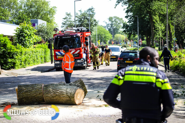 Brandweer druk bezig met grote omgevallen boom Marshallweg Rotterdam