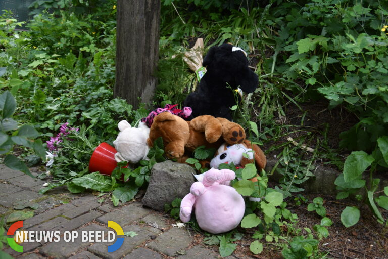 Vlaardings meisje uit ziekenhuis, pleegouders langer vast