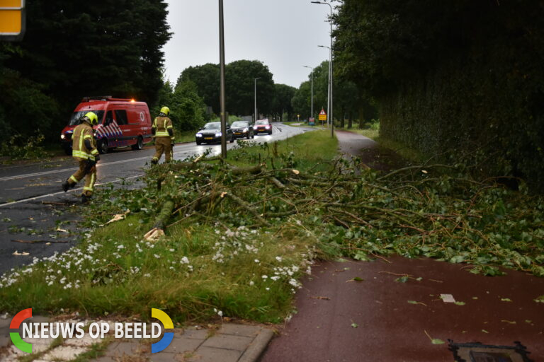 Grote tak breekt af en blokkeert fietspad Hekelingseweg Spijkenisse