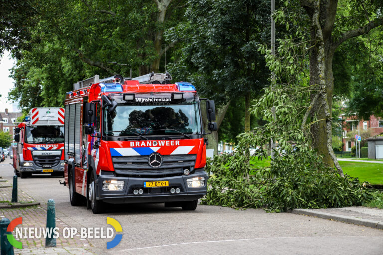 Brandweer ingezet voor afgebroken tak Lepelaarsingel Rotterdam