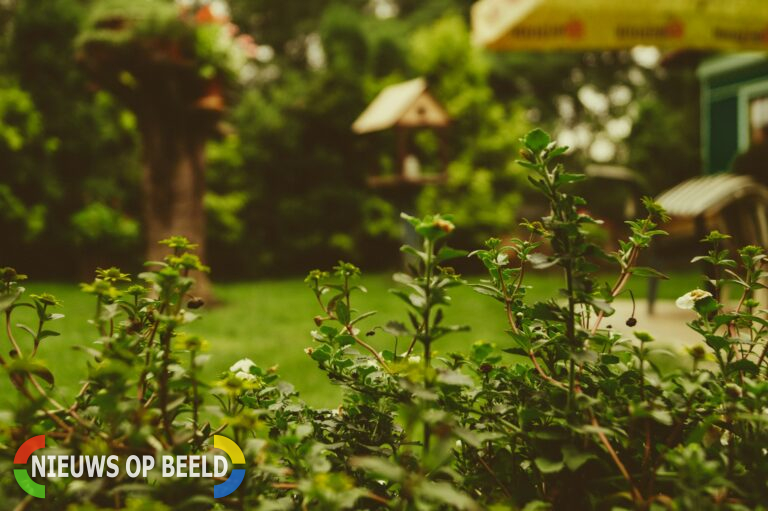 De leukste ideeën voor een gezellige tuin