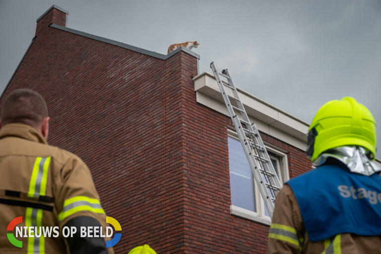 Kat vanaf dak gered door brandweer maar houdt het niet droog Slijpsteen Zuidland