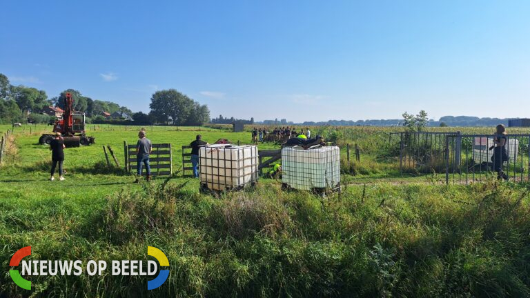 Brandweer heeft flinke klus aan paard te water Omloopseweg Rhoon