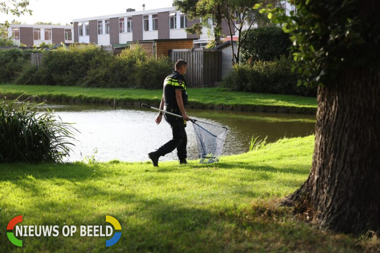 Man valt tijdens het vissen in het water aan de Robbensingel in Rotterdam