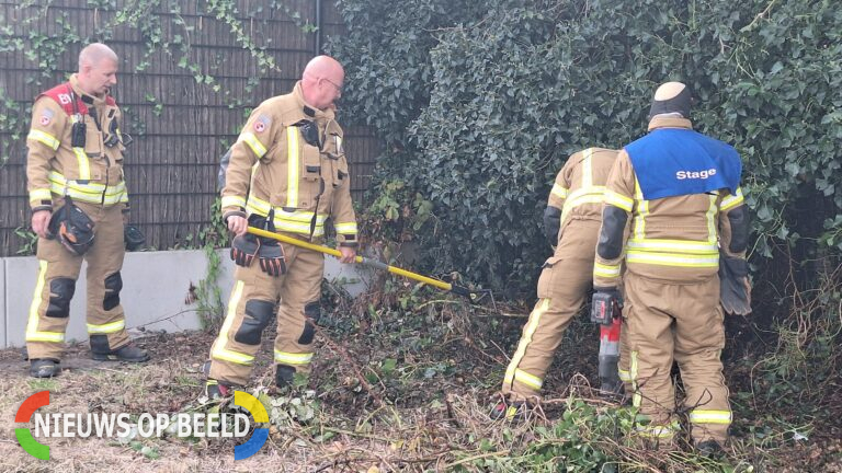 Brandweer rukt uit na bestrijden van wespennest met vuur in Bergschenhoek