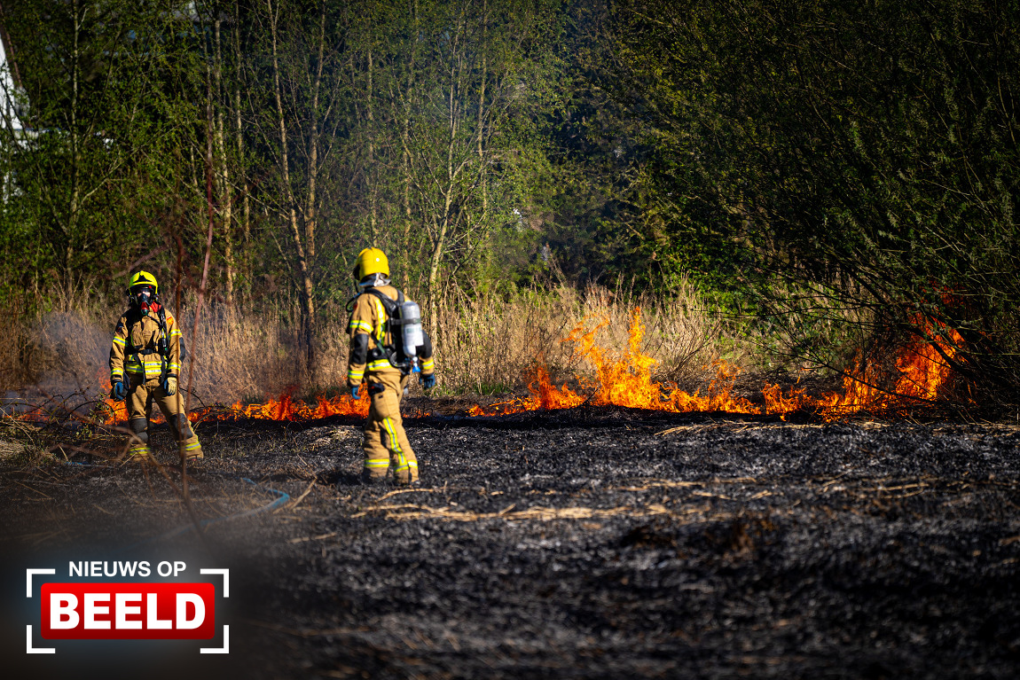 Veel rook bij natuurbrand Rotterdam-IJsselmonde