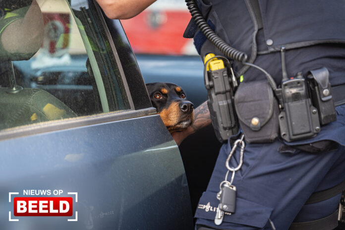 VIDEO | Opgesloten hond na 24 uur uit geparkeerde auto bevrijd Dreef Rotterdam