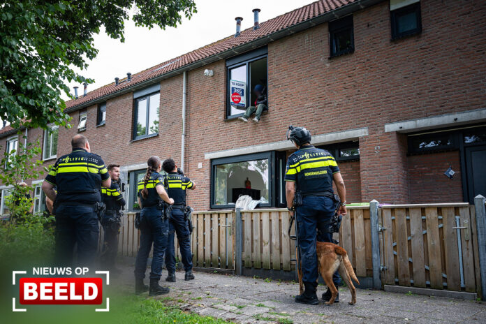 Verwarde man met cowboyhoed overmeesterd Liesgras Spijkenisse