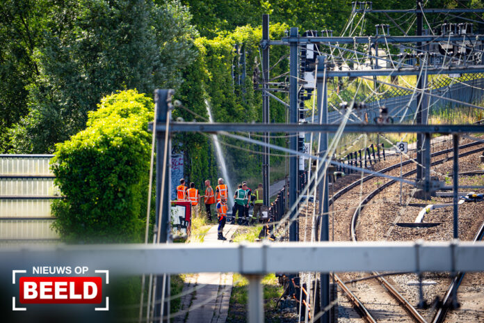 Geen treinen tussen Rotterdam en Dordrecht door brand langs spoor Olympiaweg Rotterdam